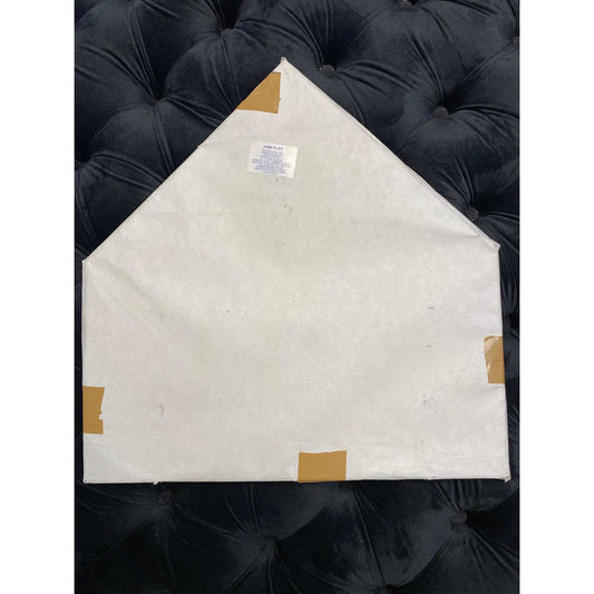 Home Plate Sin Herraje Palomares Genuino Fpx