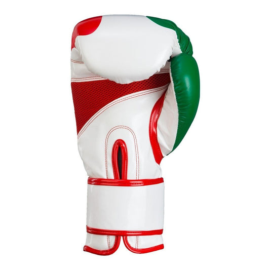 Guantes De Box Title Edicion Mexico 14 Oz Vinilpalomares Fpx