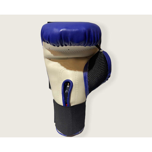 Par Guantes Box Boxing Gear Palomares Genuino Fpx
