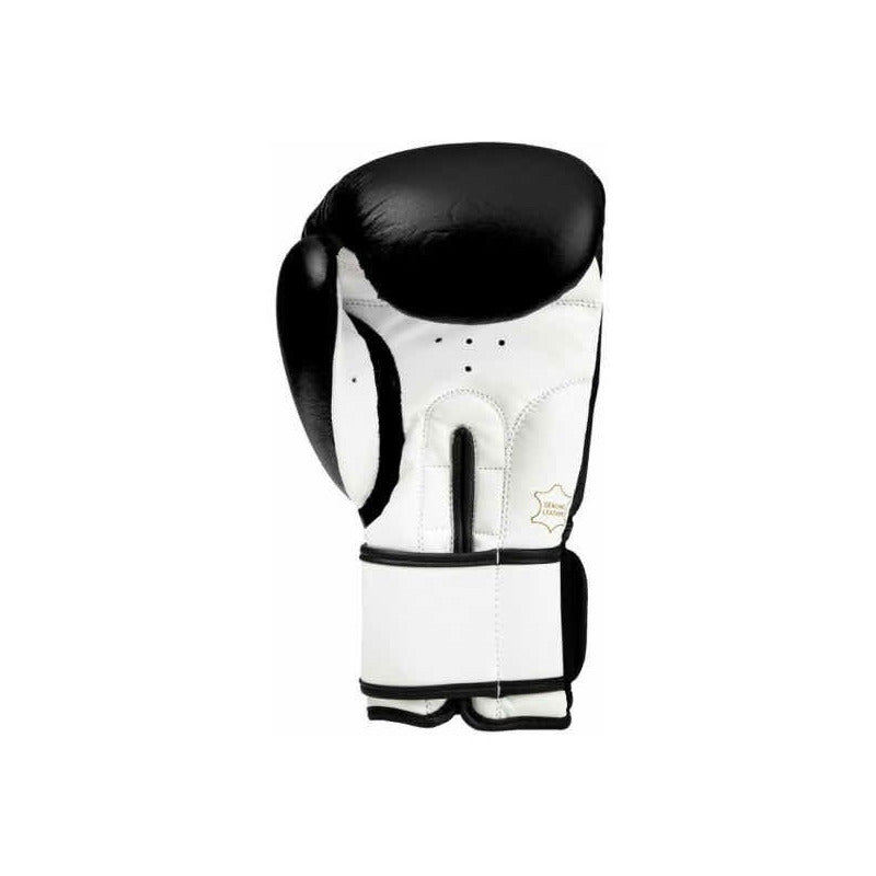 Guantes Title Premier Leather Super Bag Black 12oz Fpx