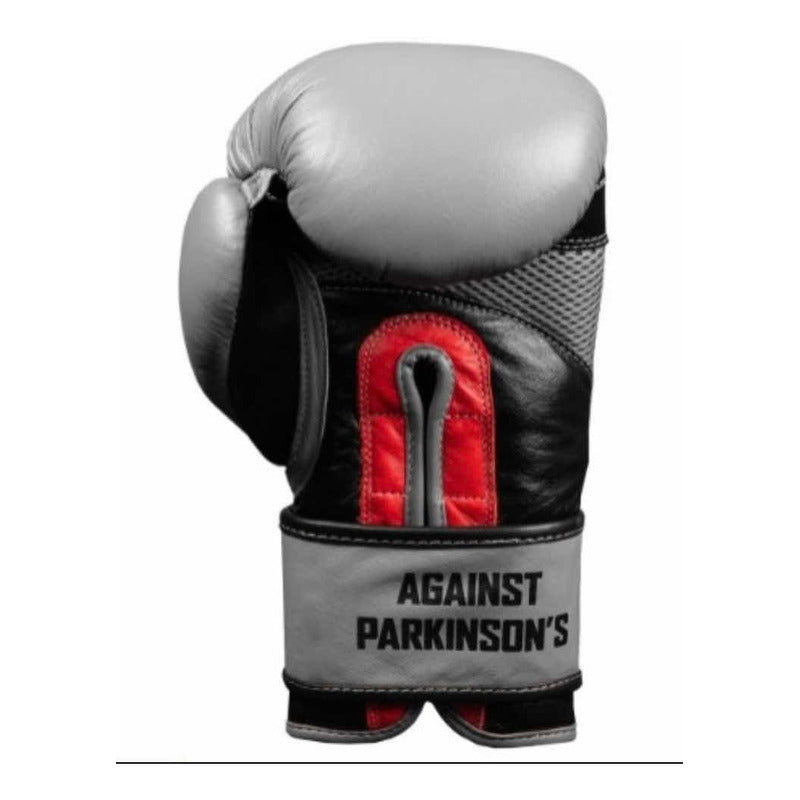 Guantes Box Title Fight Back Leather Palomares Fpx