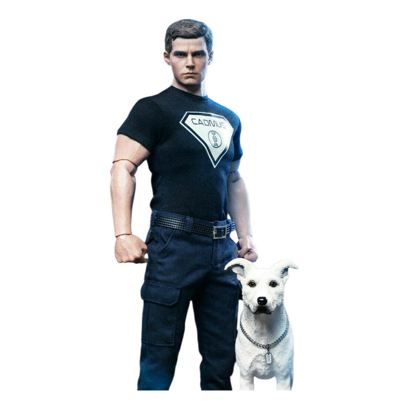 Soosoo Toys The Boy Of Steel Figura 1/6 Palomares Fpx