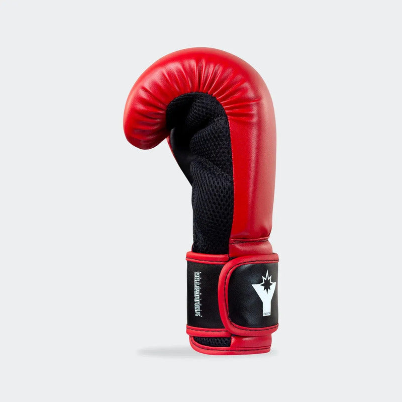 Par Guante Box Infantil Youngstar Combat Corner  Fpx 6 Oz Rojo