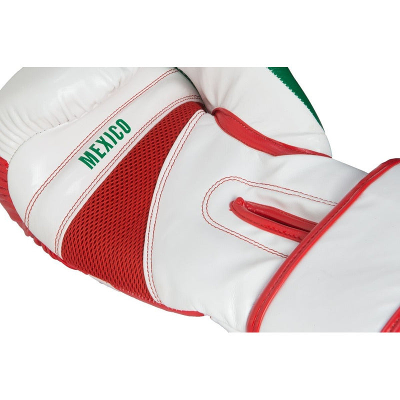 Guantes De Box Title Edicion Mexico 14 Oz Vinilpalomares Fpx