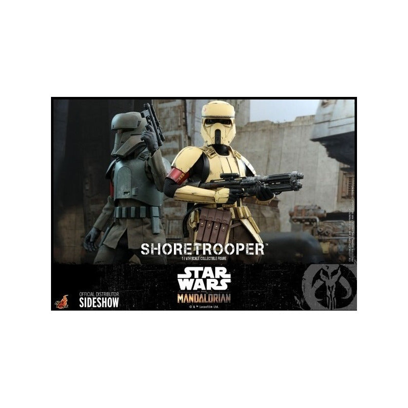Shoretrooper The Mandalorian Star Wars Hot Toys 1/6 Scale