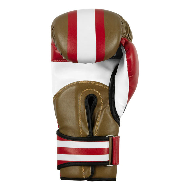 Par Guante Box Title 49ers San Francisco Palomares Fpx